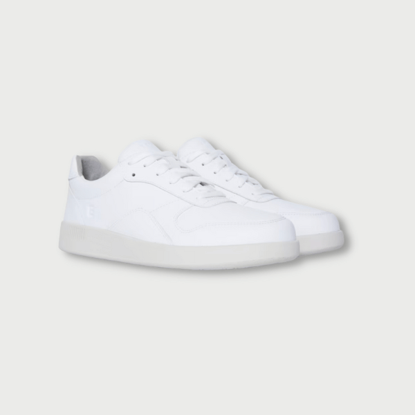 everlane white sneakers